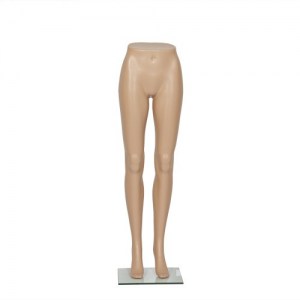 Keine Abbildung zugeordnet 